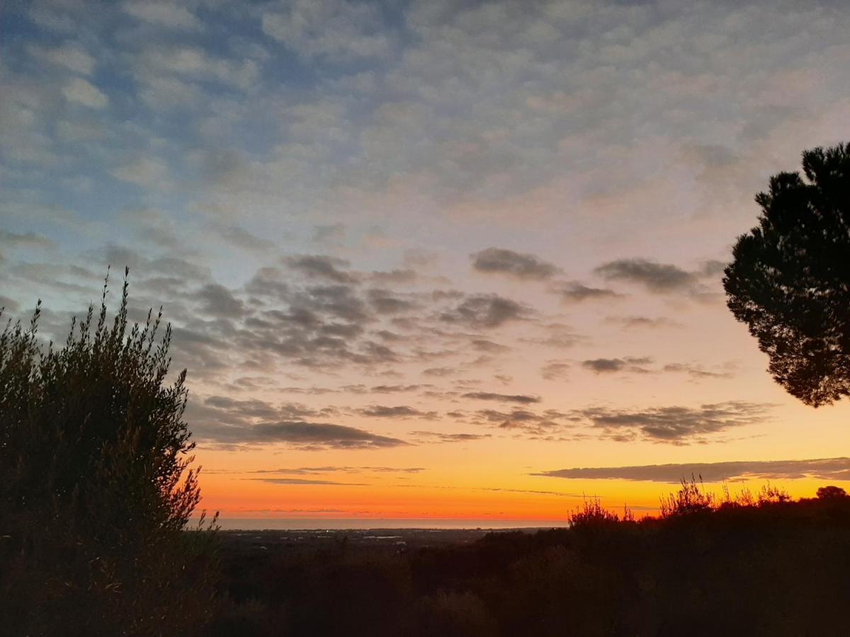 Alla Panoramica Monopoli Eksteriør billede