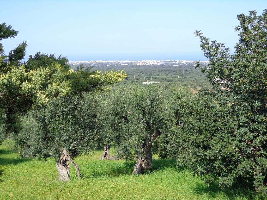 Alla Panoramica Monopoli Eksteriør billede